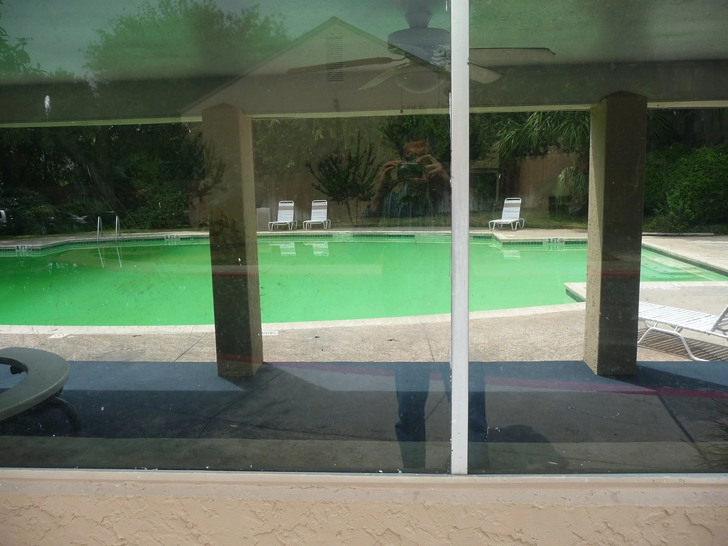 Green pool water.